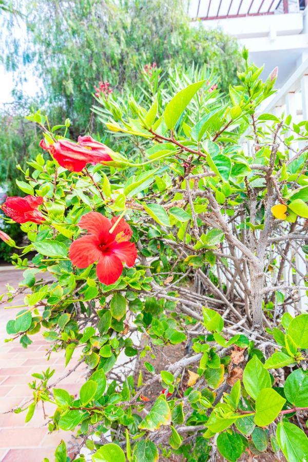 Vivienda Vacacional Sunny - Duplex Apartment 2Beds 2 Baths Costa Teguise Εξωτερικό φωτογραφία
